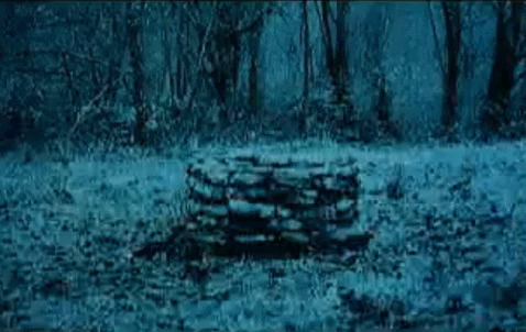The Ring